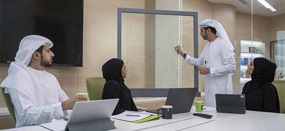 قرار توطين مهن الاتصالات وتقنية المعلومات